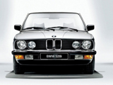 BMW 5er (БМВ 5 серии), 1981-1987, Седан 