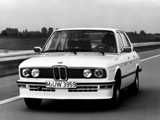 BMW M5 (БМВ М5), 1980-1981, Седан 